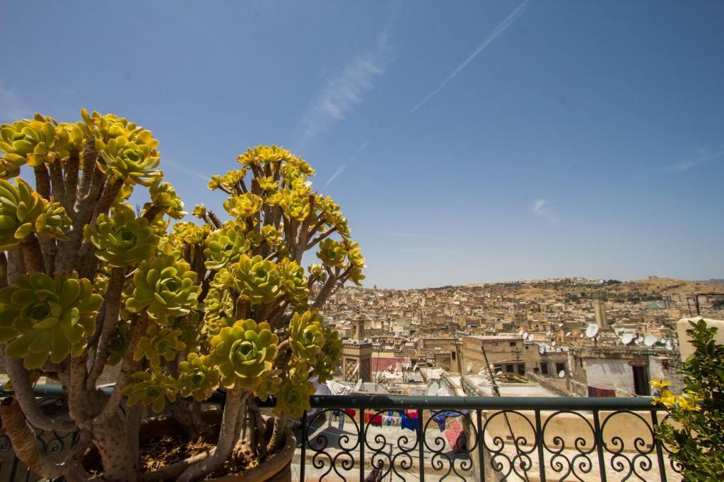 Riad La Source Bleue 페스 객실 사진